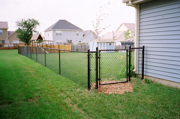 Chain Link - Phoenix Fence